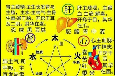 五行属火的名字|属火最吉利的五十个字 五行属火性的什么字最好大全